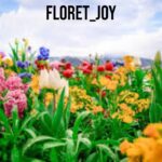 floret_joy