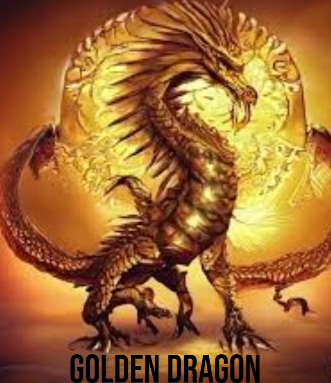 golden dragon