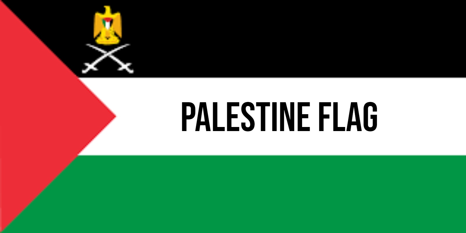 palestine flag