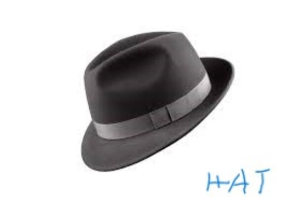 hat