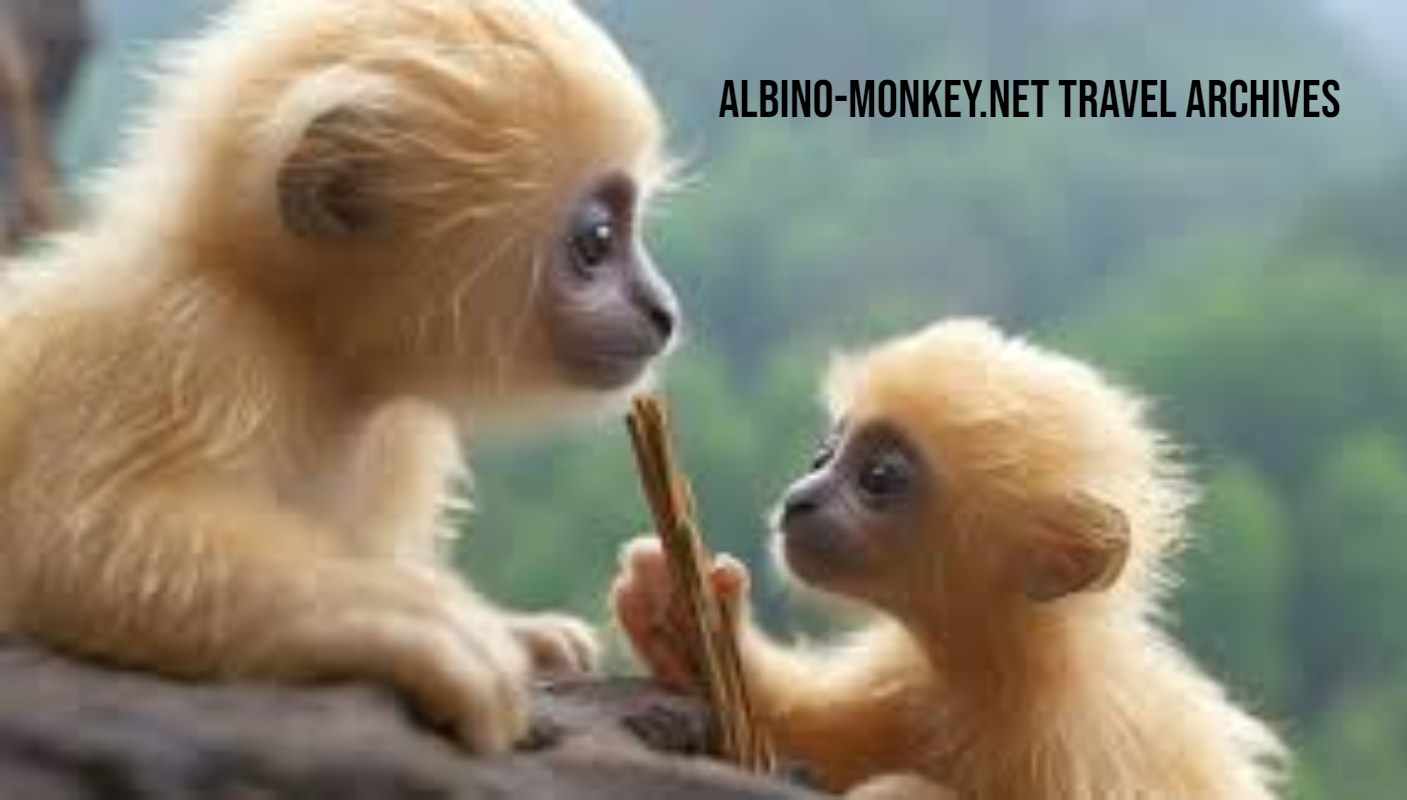 albino-monkey.net travel archives