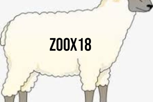 zoox18