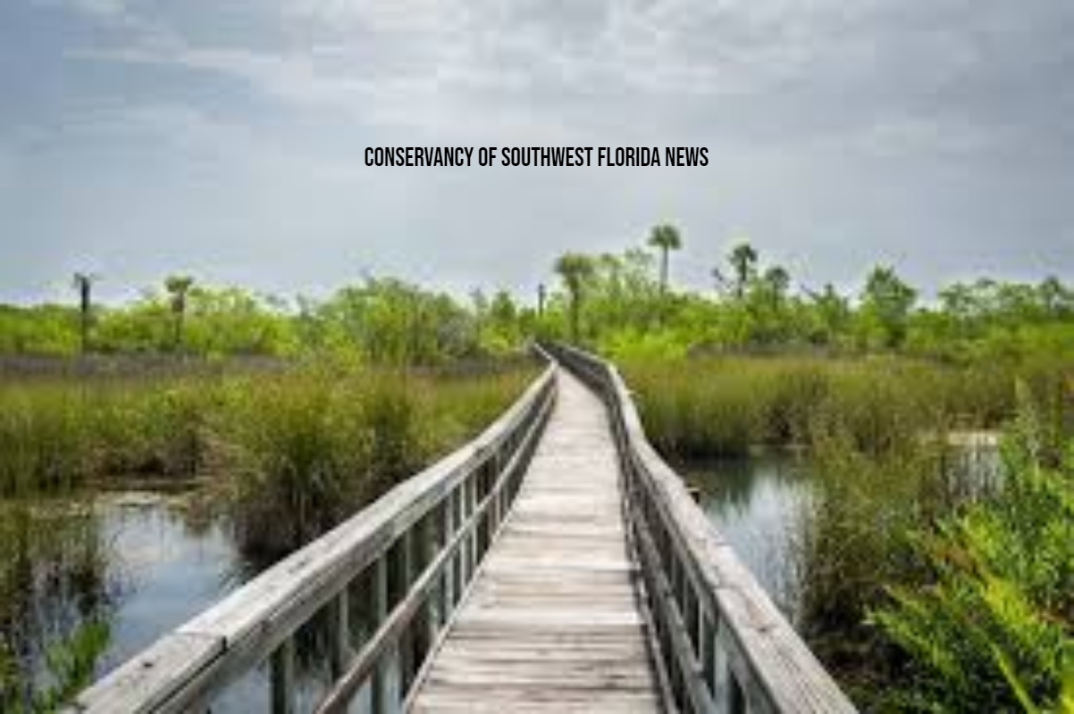 conservancy of southwest florida news